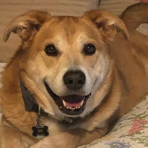 Meet your Posher, Carl